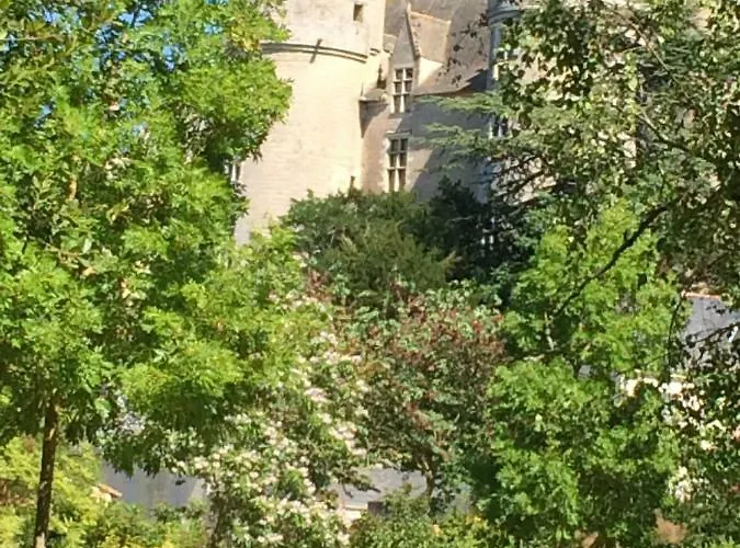 Semesterbostad La Douceur Angevine Montreuil-Bellay